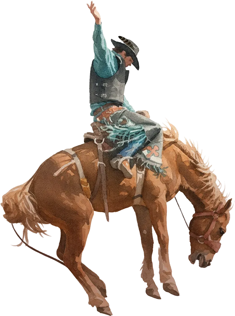 Festival de sentidos