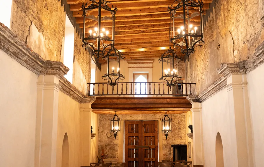 Festival de sentidos